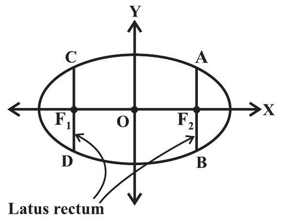Latus Rectum diagram