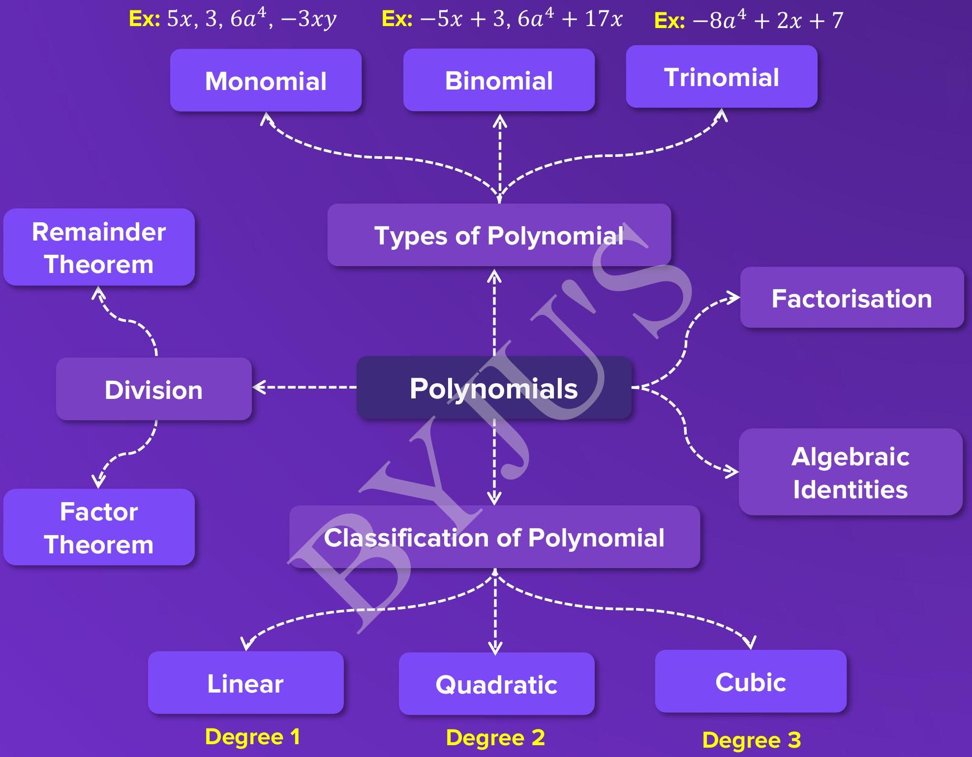 Polynomial visual